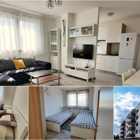 Apartment Mrvica Near The Zagreb Airport 벨리카 고리차 외부 사진